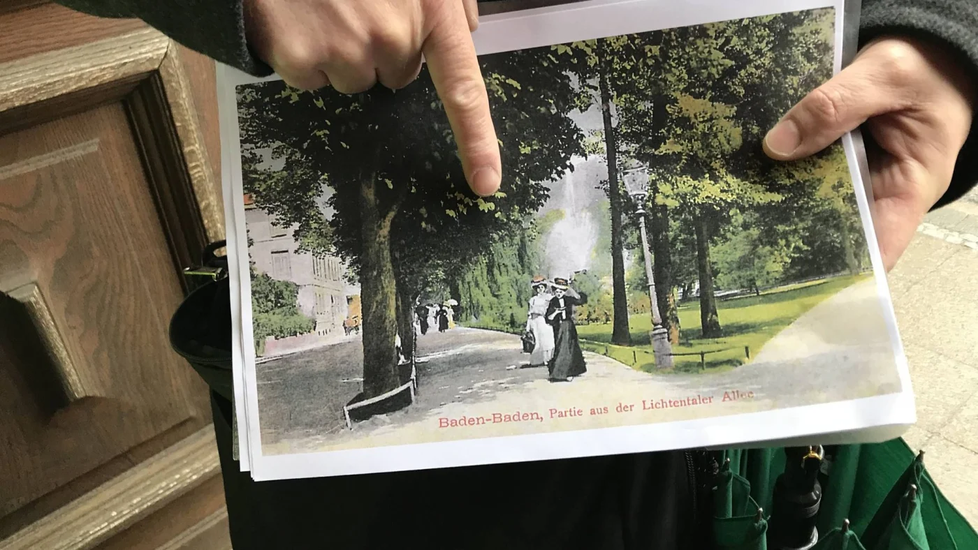 Trauerbuche Lichtentaler Allee, Ansicht auf einen Bild aus dem 19 Jahrhundert, das Gartenbauamtschef Markus Brunsing zeigt