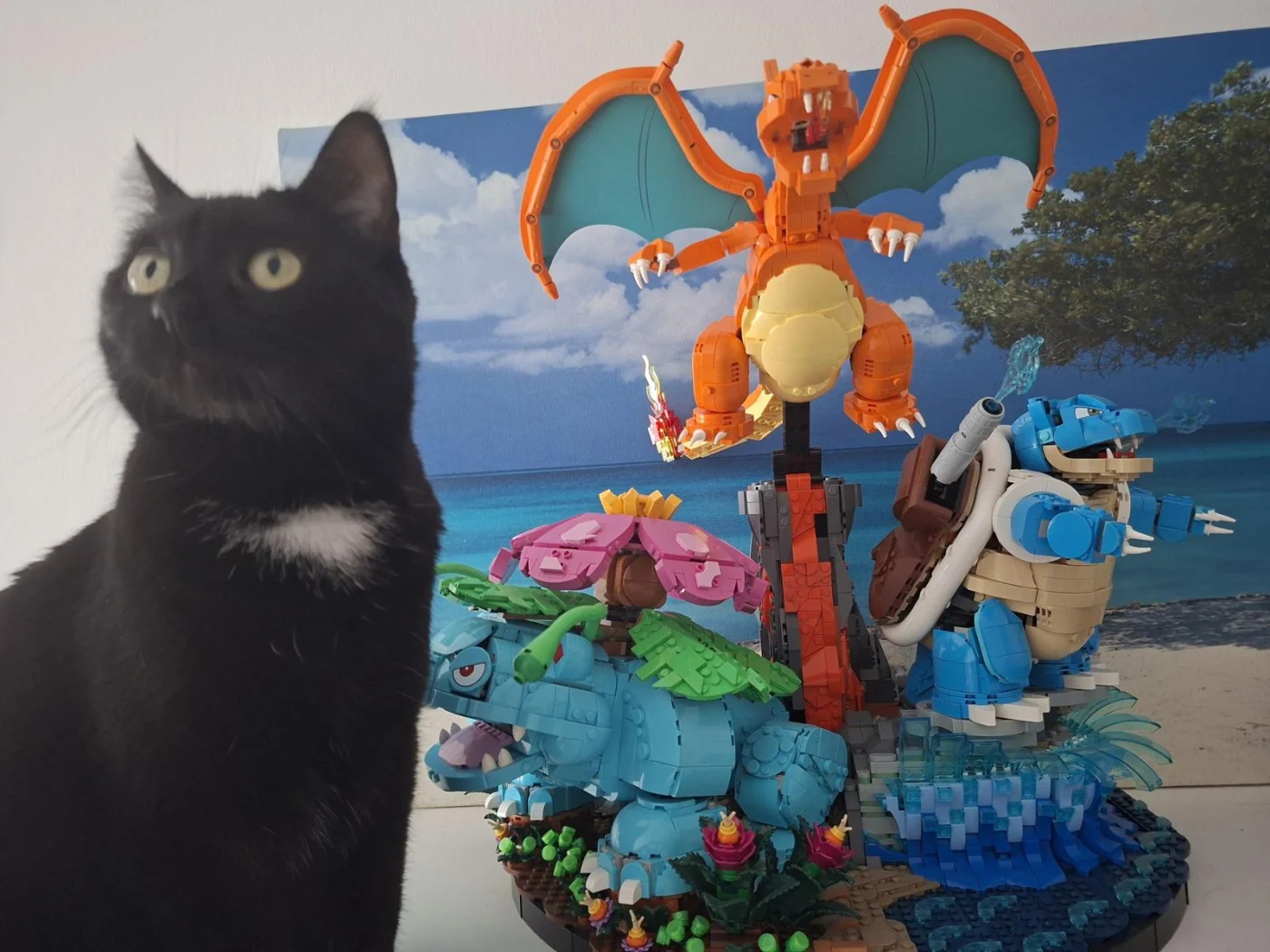 Unsere Katze hat sich mit dem 8 Kilo schweren und überraschend stabilen Kanto-Starter-Diorama angefreundet.