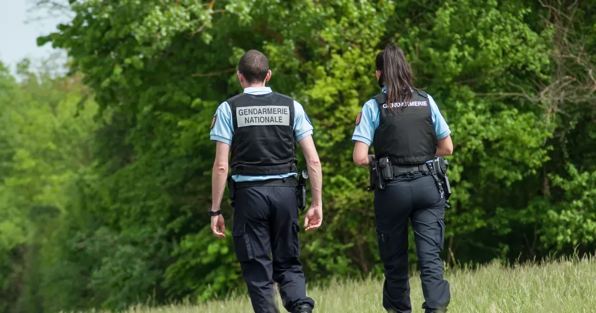 Vermisste Lehrerin (54) aus Besançon: Spaziergänger entdeckt Leiche nach fast 4 Monaten im Wald