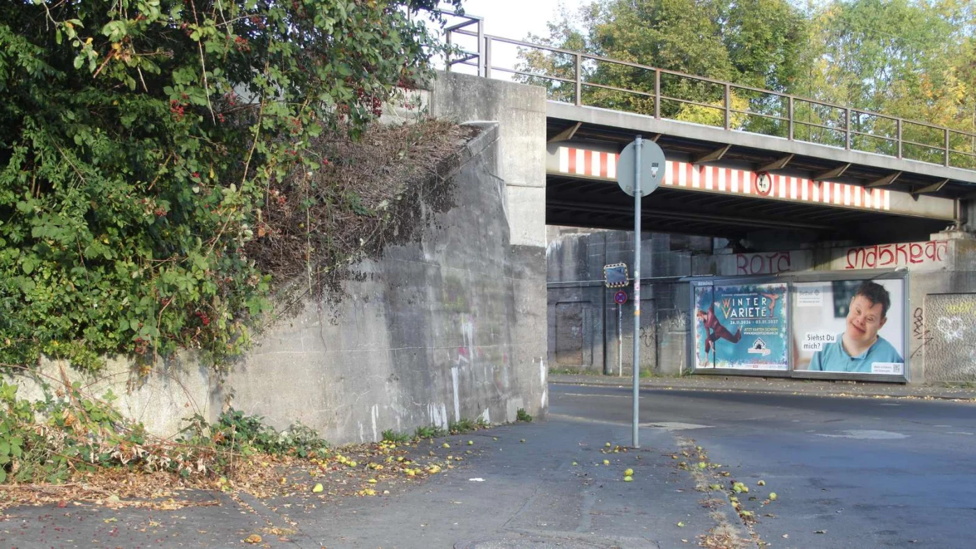 Fallobst am Bahndamm im Bereich Hohnemannstraße/Zentgrafenstraße