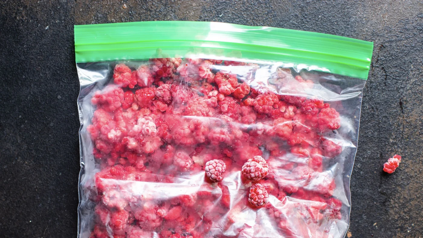 Schluss mit Einwegplastik: Warum kompostierbare Zipper-Beutel Gefriertüten ablösen